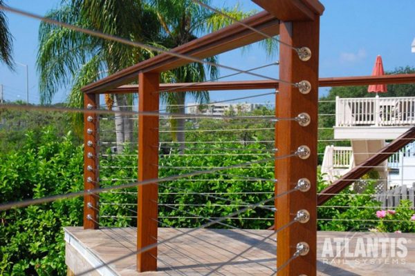 Cable railing set up with big palm tree in background.