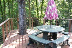 Cable Railing on Deck Around Tree