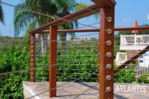 Cable Railing with Big Palm Trees